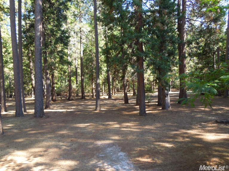 23756 Shake Rdg, Volcano, CA 95689 photo 16