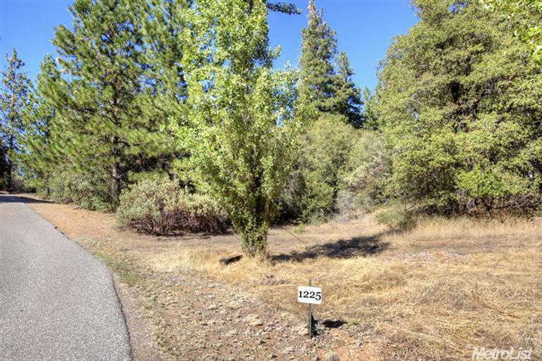 1225 Dallimore Rd, Colfax, CA 95713 photo 25