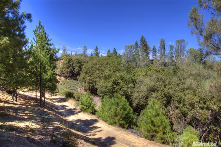 1225 Dallimore Rd, Colfax, CA 95713 photo 21
