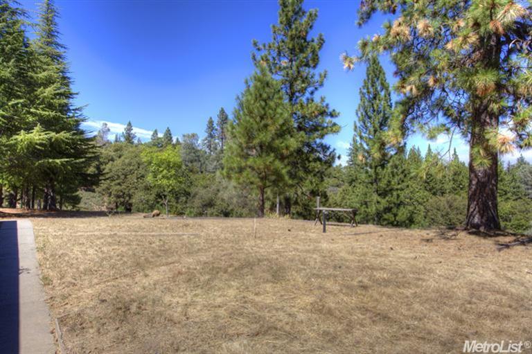 1225 Dallimore Rd, Colfax, CA 95713 photo 24