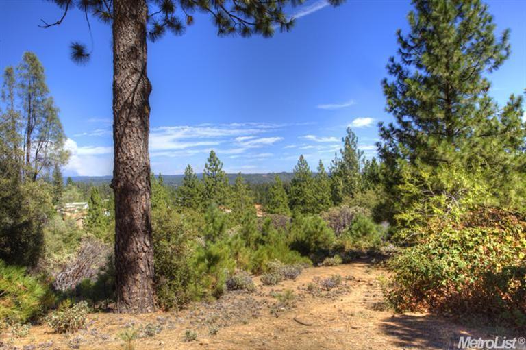 1225 Dallimore Rd, Colfax, CA 95713 photo 23