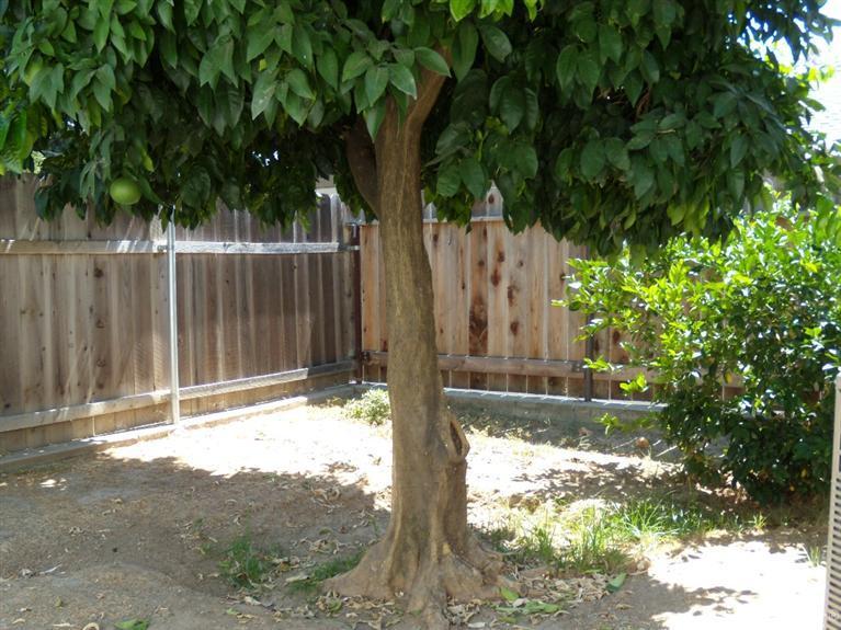 119 2nd St, Galt, CA 95632 photo 17