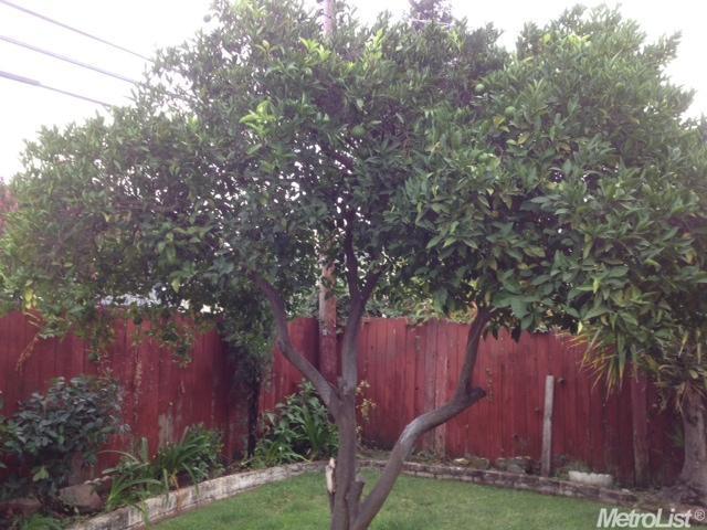 5901 66th St, Sacramento, CA 95824 photo 18