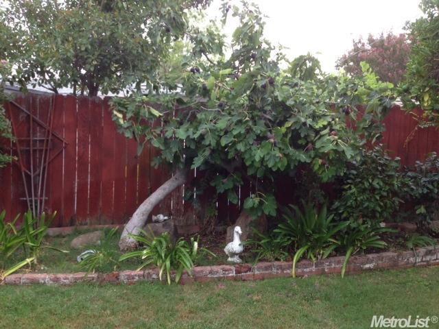 5901 66th St, Sacramento, CA 95824 photo 17