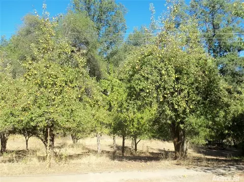 3424 Mining Brook Rd, Placerville, CA 95667 photo 18