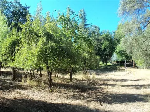 3424 Mining Brook Rd, Placerville, CA 95667 photo 15