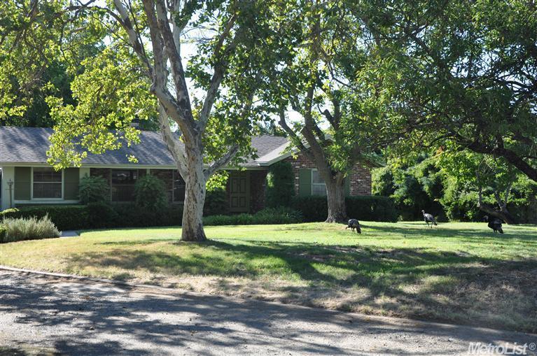 3841 Dell Rd, Carmichael, CA 95608 photo 1