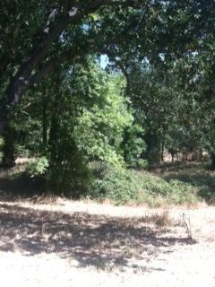 6520 Sutter Ave, Carmichael, CA 95608 photo 2
