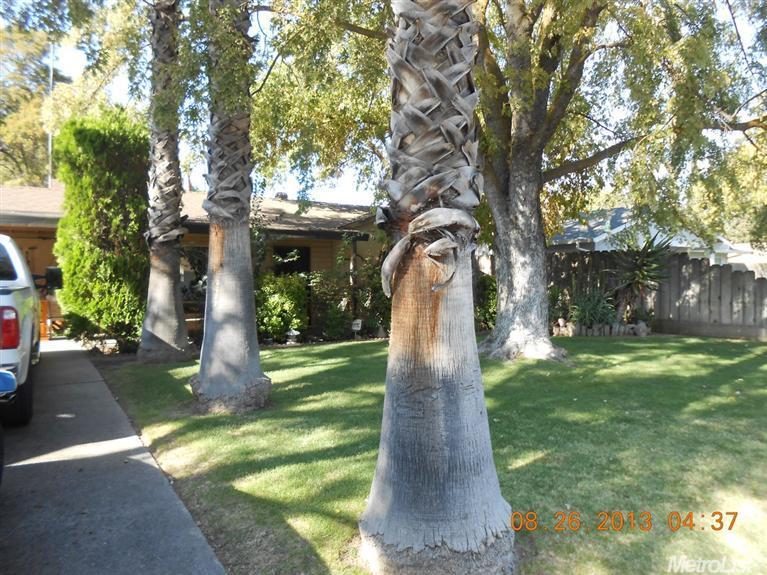2349 Lambert St, Modesto, CA 95354 photo 3