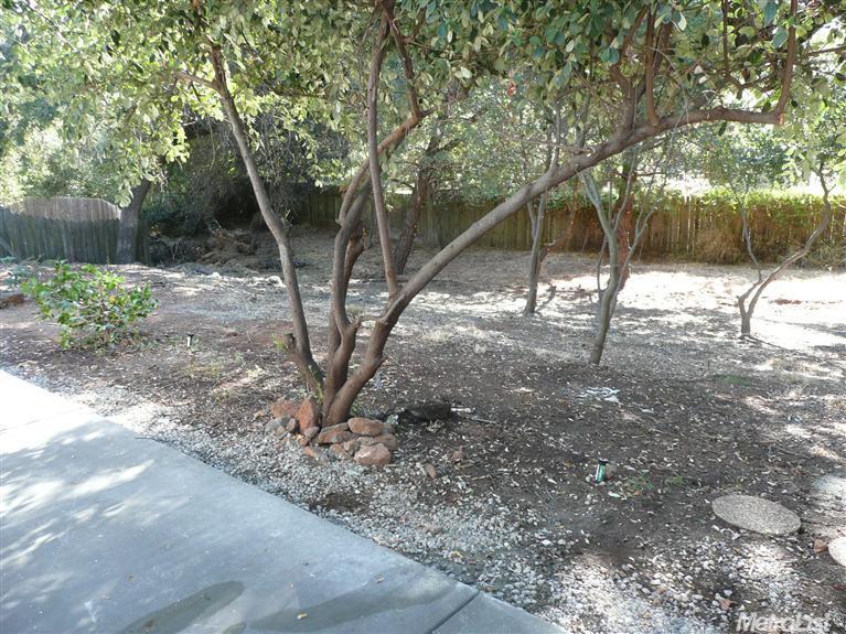 2516 Dudley Dr, Rescue, CA 95672 photo 13