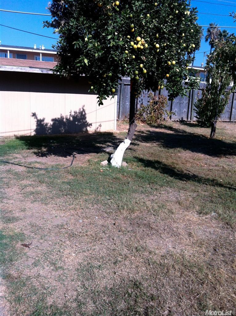 1613 Silver Ct, Modesto, CA 95351 photo 4