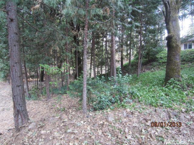 18901 Applegate Rd, Applegate, CA 95703 photo 4
