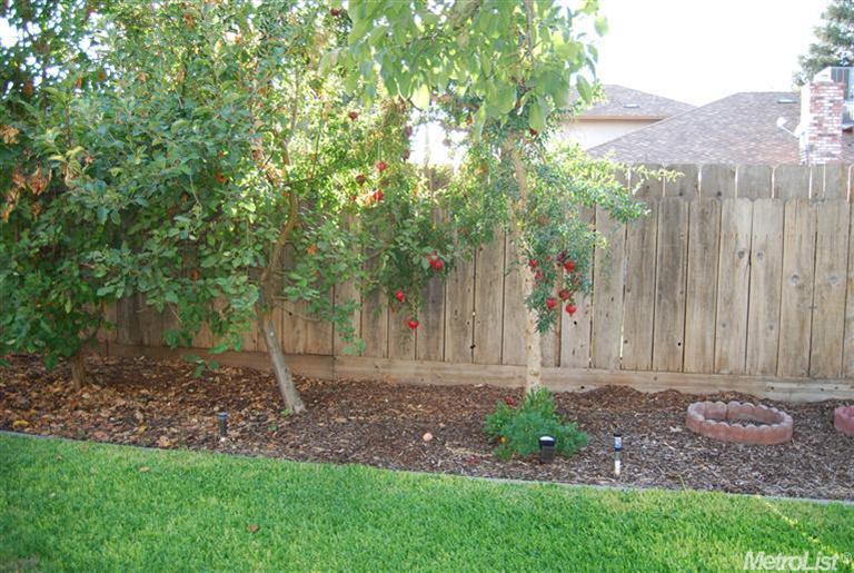 2025 Independence Dr, Turlock, CA 95382 photo 22