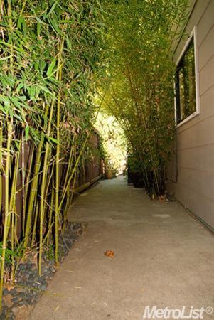 2009 Manet Pl, Davis, CA 95618 photo 20