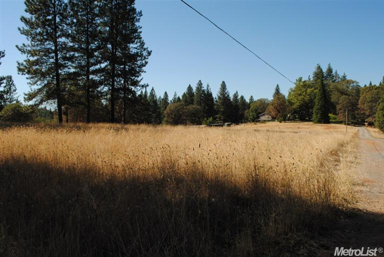 1175 Alpine Way, Colfax, CA 95713 photo 4