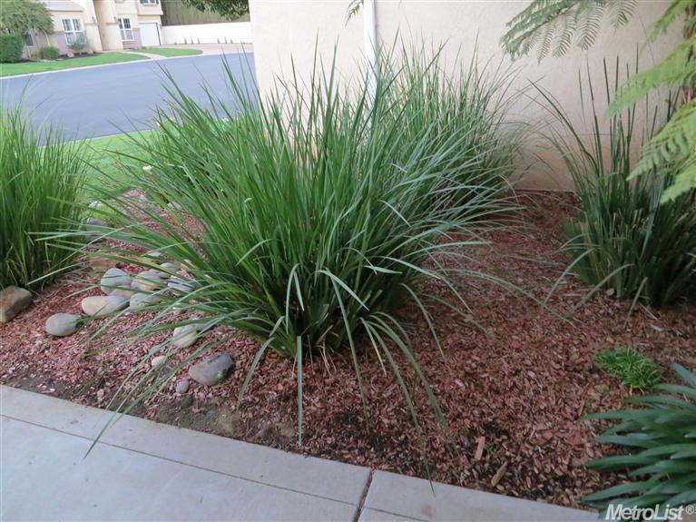 4716 Via Giardiano, Modesto, CA 95357 photo 4