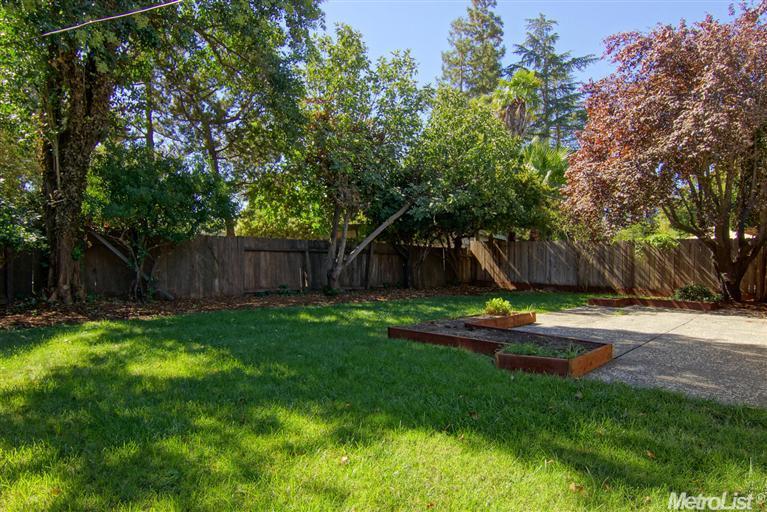 1026 Alice St, Davis, CA 95616 photo 19