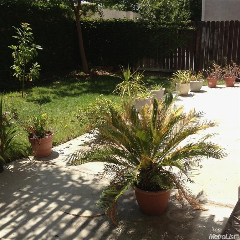 4431 Burr Ct, Tracy, CA 95377 photo 12