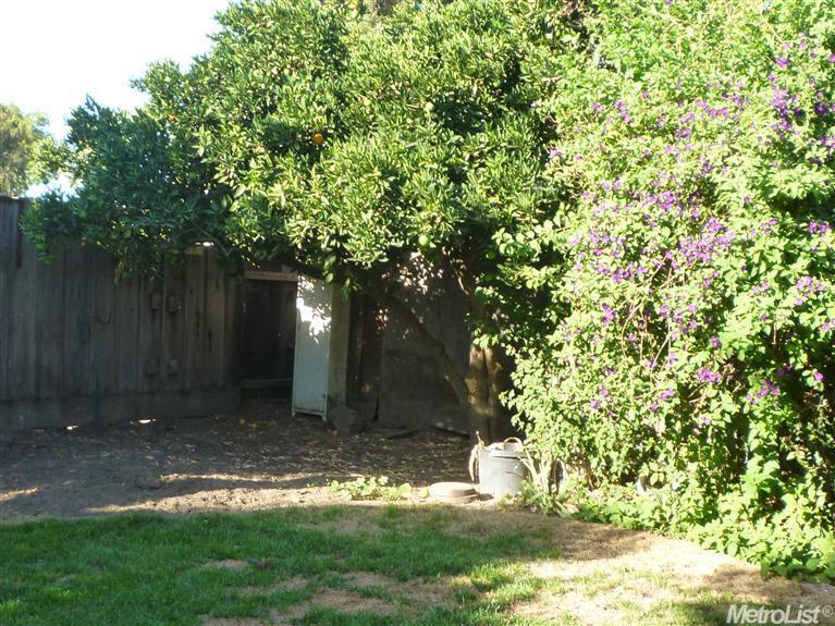 1528 Irene Ave, Modesto, CA 95355 photo 16