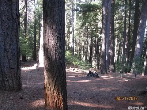 32975 Ridge Rd, Dutch Flat, CA 95714 photo 3