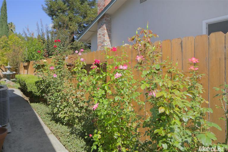 2633 Belmont Dr, Davis, CA 95618 photo 21
