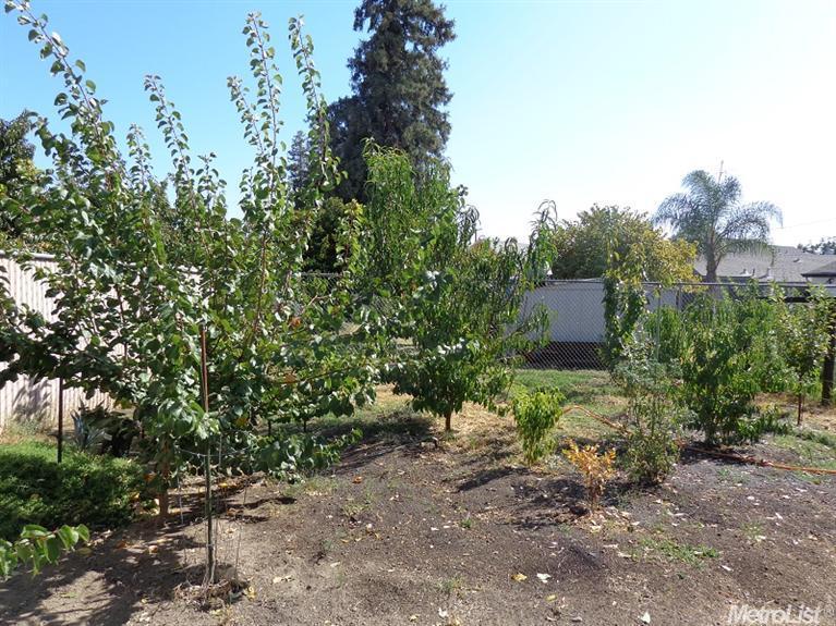 4867 Washington St, Salida, CA 95368 photo 19