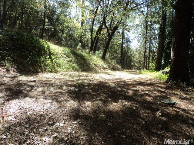 1045 Huss Ln, Colfax, CA 95713 photo 6