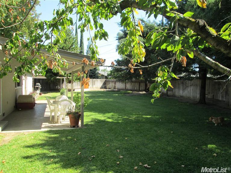 1532 Delphine, Modesto, CA 95350 photo 17