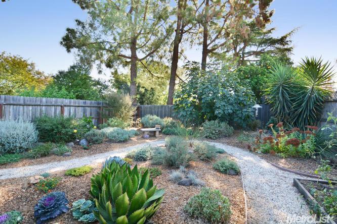 310 Hidalgo Pl, Davis, CA 95616 photo 3