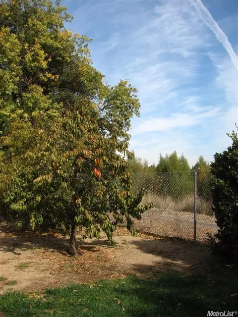1406 Garrison St, Davis, CA 95616 photo 14