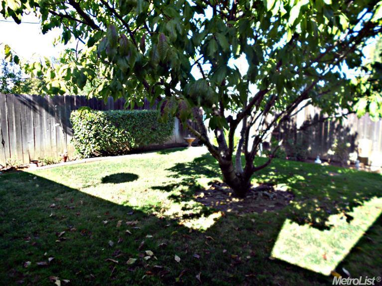 6355 Madison Ave, Carmichael, CA 95608 photo 20