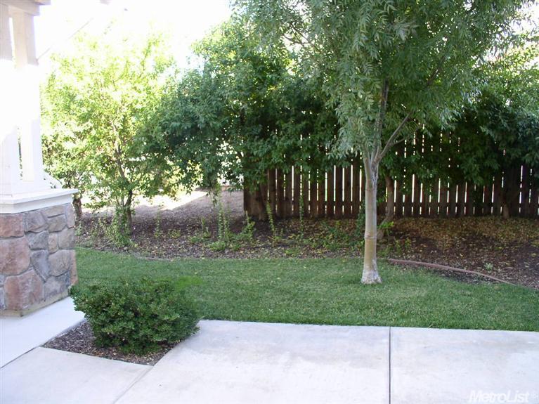 1776 Kagehiro Dr, Tracy, CA 95376 photo 25