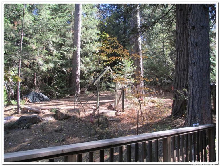 33135 Ridge Rd, Dutch Flat, CA 95714 photo 15
