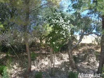4280 Midas Ave, Rocklin, CA 95677 photo 19