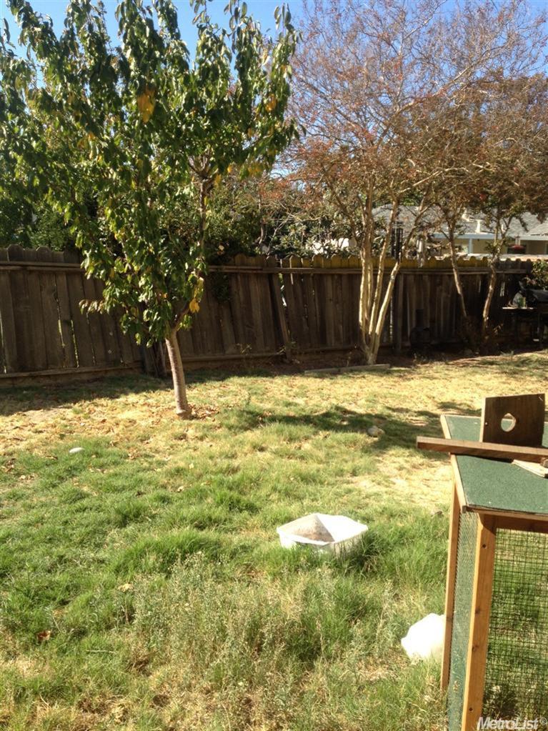2205 Eloise Ave, Ceres, CA 95307 photo 6