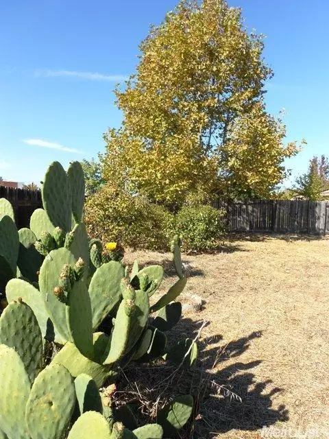 4424 Aubergine Way, Mather, CA 95655 photo 13