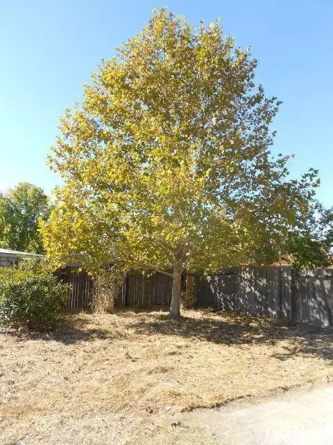 4424 Aubergine Way, Mather, CA 95655 photo 10