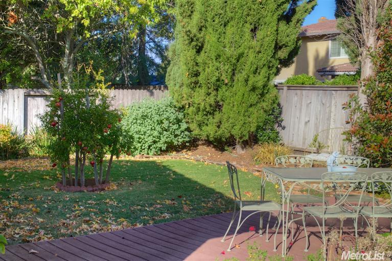 103 Middle Fork Ct, Folsom, CA 95630 photo 24