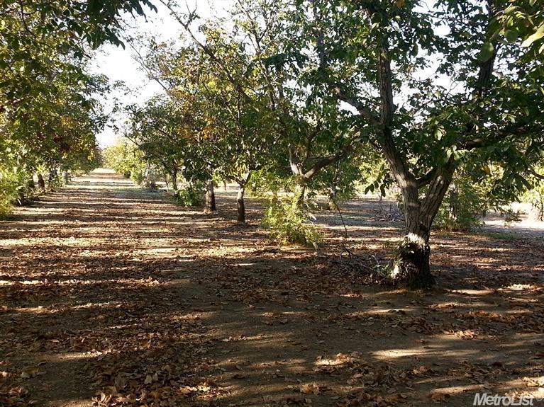 8940 Gaddini Rd, Winters, CA 95694 photo 4