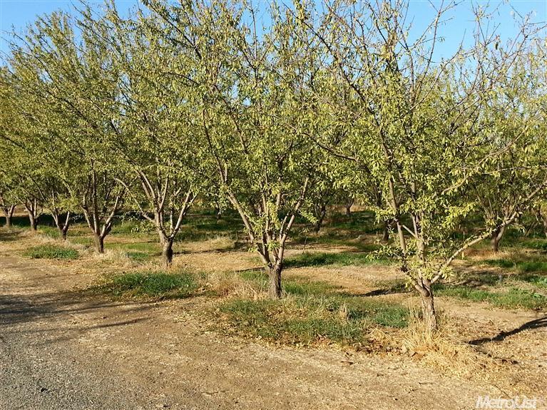 8940 Gaddini Rd, Winters, CA 95694 photo 3