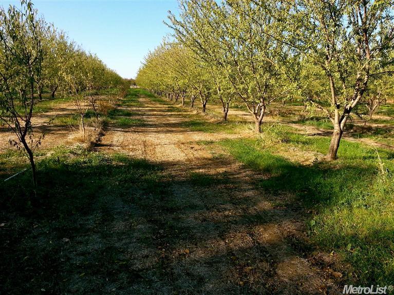 8940 Gaddini Rd, Winters, CA 95694 photo 2