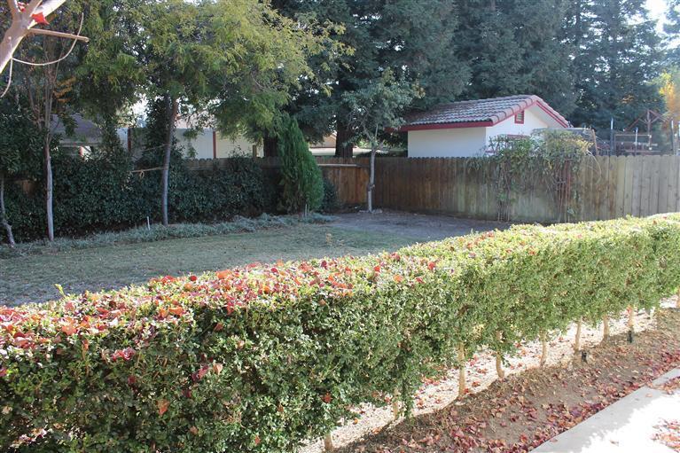 3698 Avocet Ct, Merced, CA 95340 photo 21