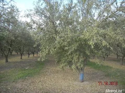 5731 Griffin Rd, Turlock, CA 95382 photo 25