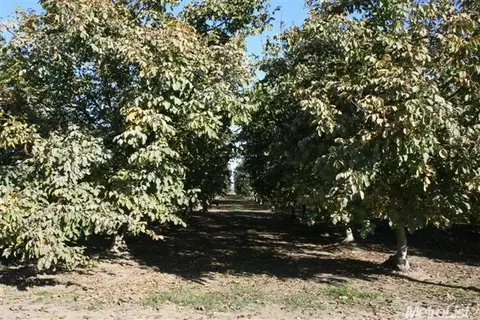 3666 Paradise Rd, Modesto, CA 95358 photo 1