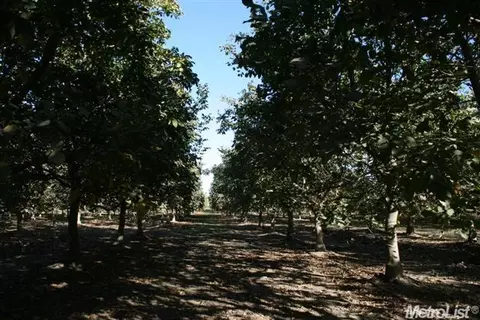 3666 Paradise Rd, Modesto, CA 95358 photo 7