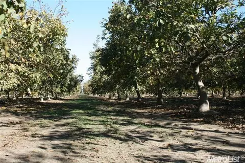 3666 Paradise Rd, Modesto, CA 95358 photo 3