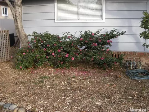3100 Wilkins Way, Carmichael, CA 95608 photo 21