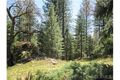 3858 Roden Dr, West Point, CA 95255 photo 16