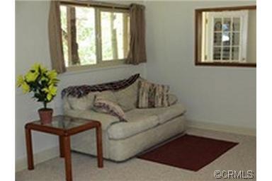 3858 Roden Dr, West Point, CA 95255 photo 3