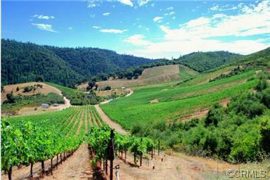 3200 San Domingo Creek Crk, Murphys, CA 95247 photo 30